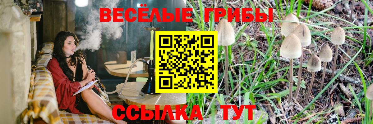 Псилоцибиновые грибы MAGIC MUSHROOMS  Вход с VPN  Псилоцибиновые грибы Psilocybine cubensis  Калуга 